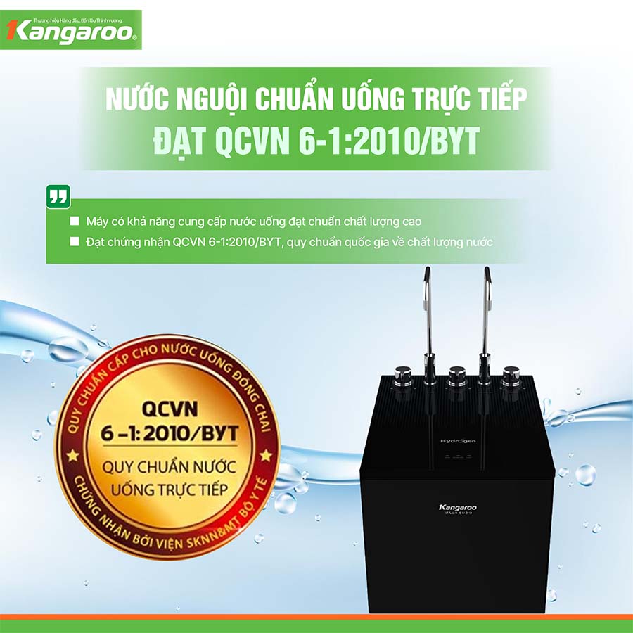 Máy lọc nước nóng lạnh Kangaroo KG10A15 QH246205 8